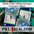 Gelée Orale 100Mg Kamagra Comment Utiliser viagra5